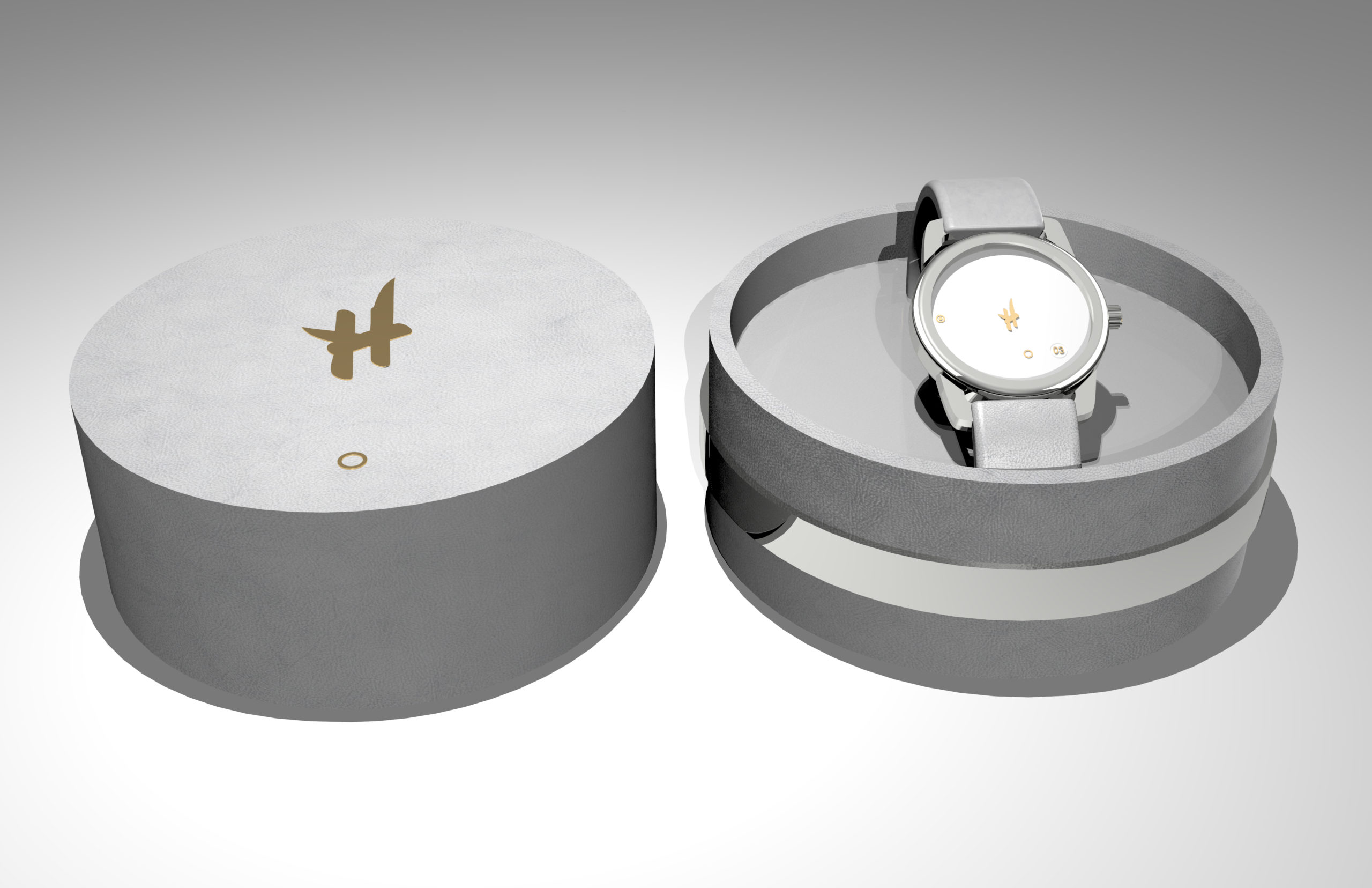 White Watch Packaging