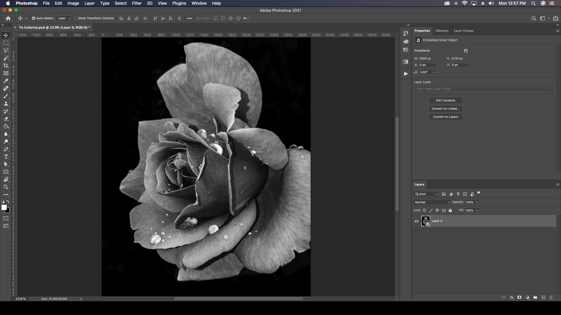 colorize black and white photo photoshop elements