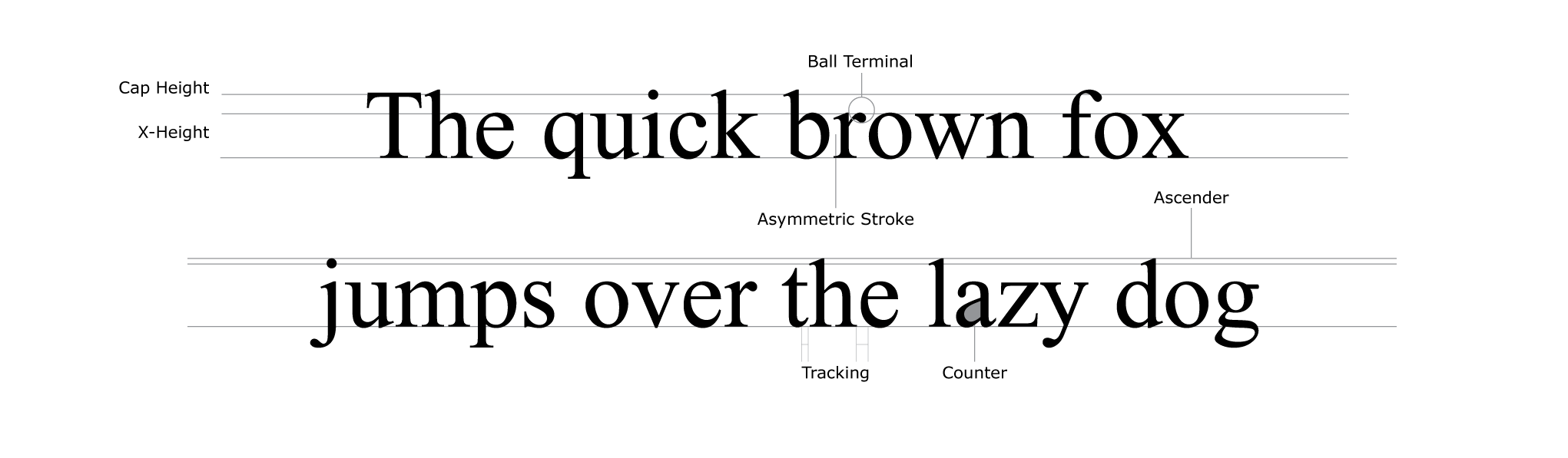 calibri font vs times new roman