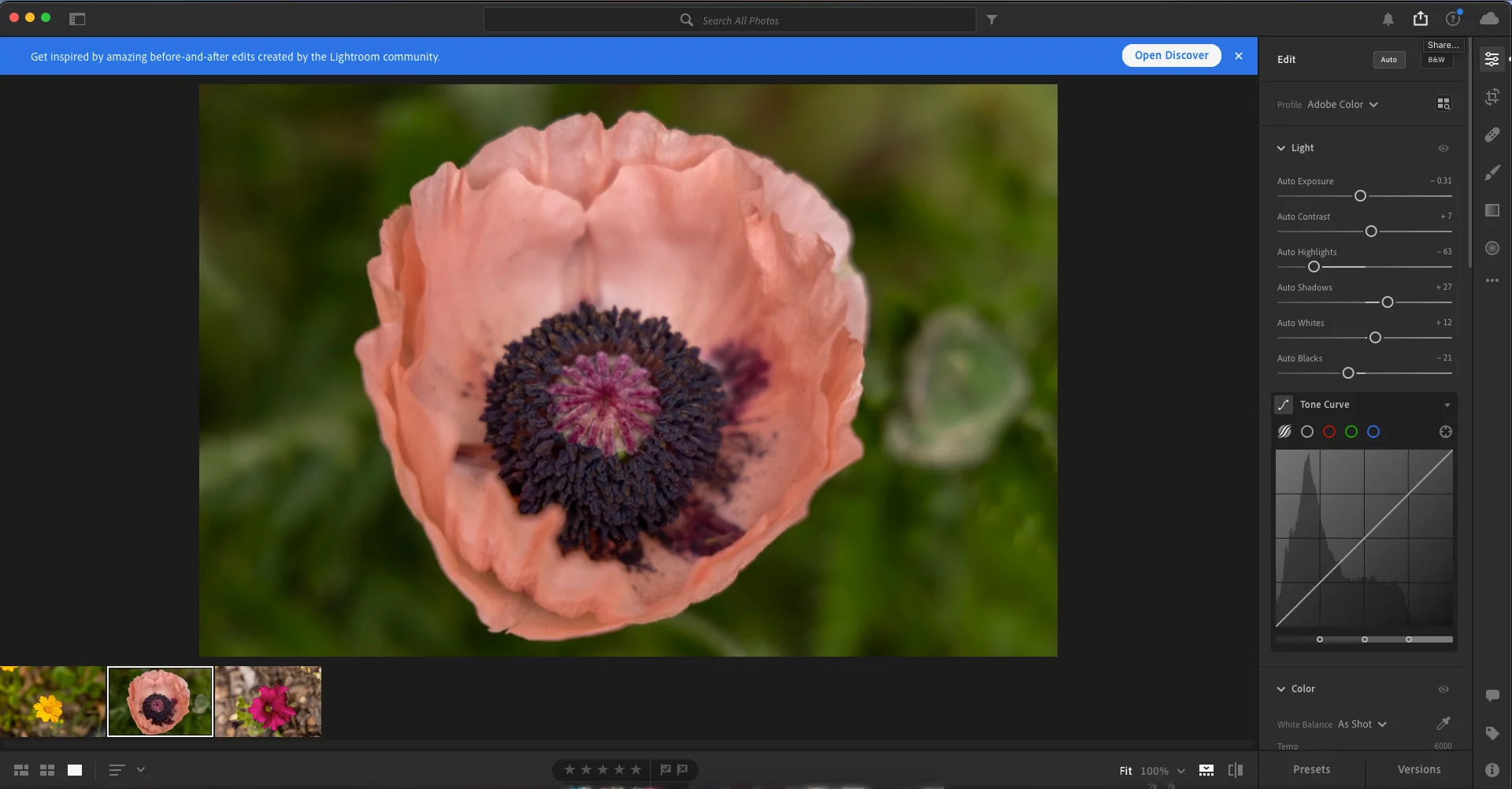 Graphical-Watermark-Step-1