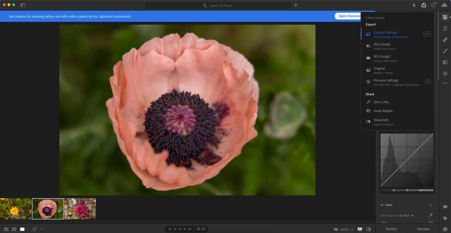 Graphical-Watermark-Step-2