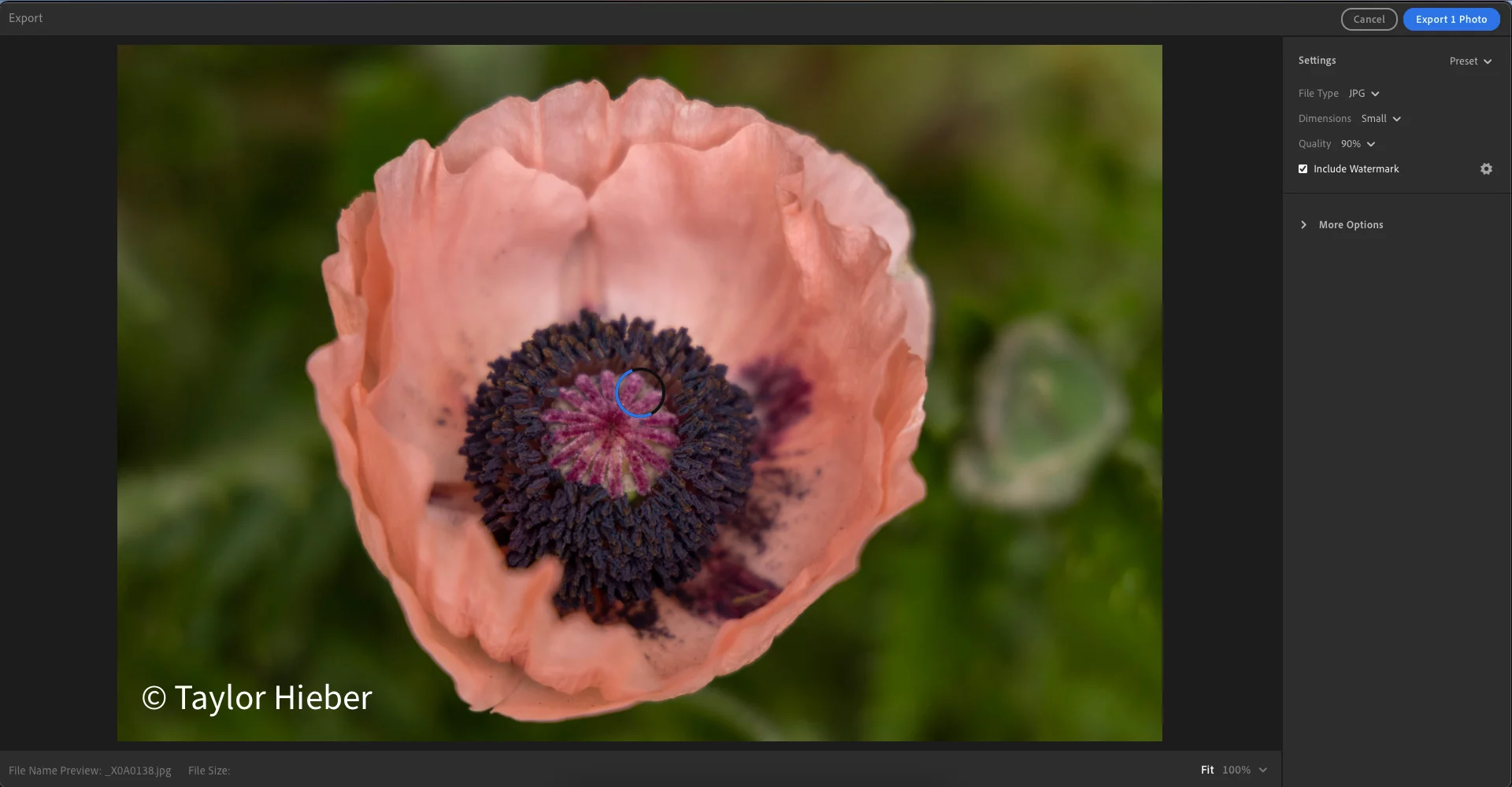 Graphical-Watermark-Step-3