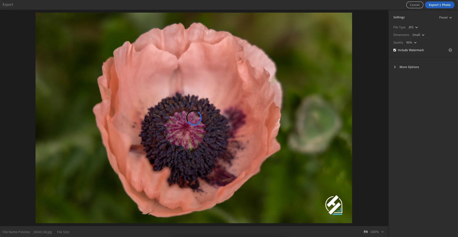 Graphical-Watermark-Step-6